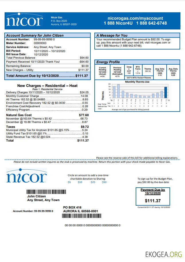 USA Illinois Nicor gas utility bill template in Word and PDF format